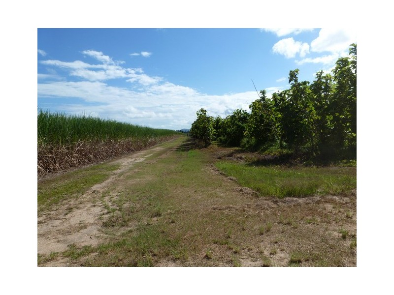 Kurrimine Beach QLD 4871