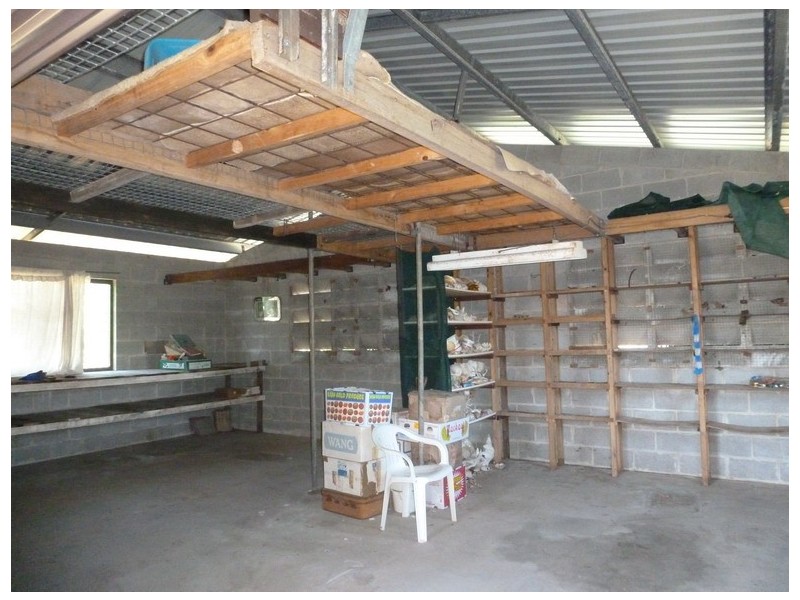 Cowley Beach QLD 4871