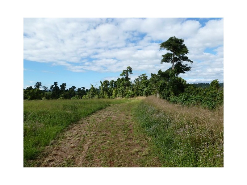 Innisfail QLD 4860