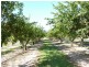 Mourilyan QLD 4858