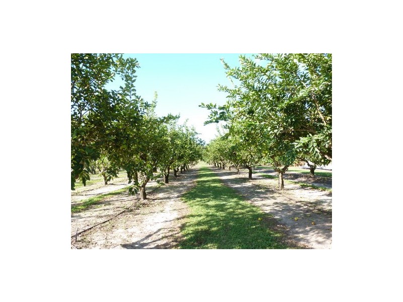 Mourilyan QLD 4858
