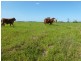 Mena Creek QLD 4871