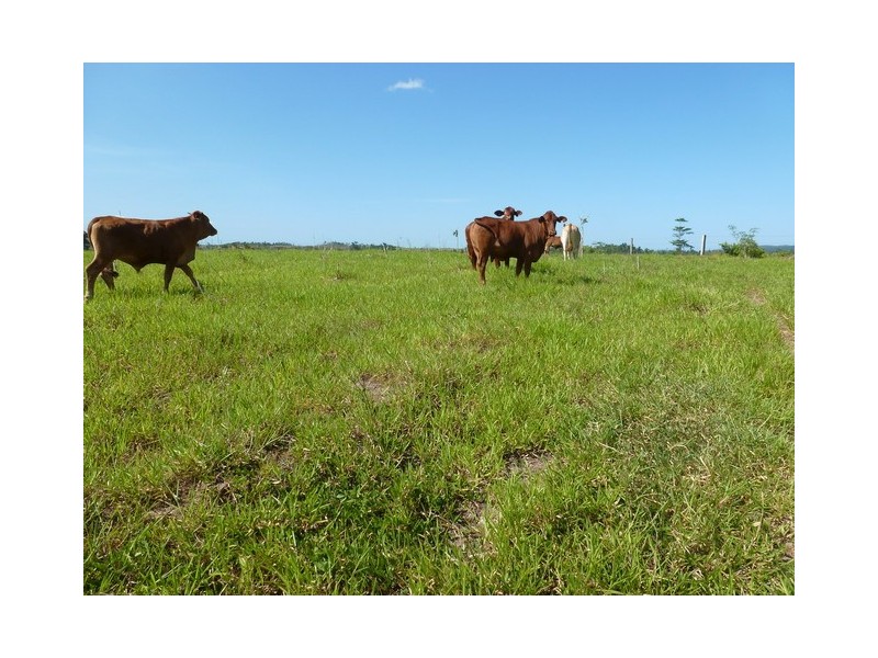 Mena Creek QLD 4871