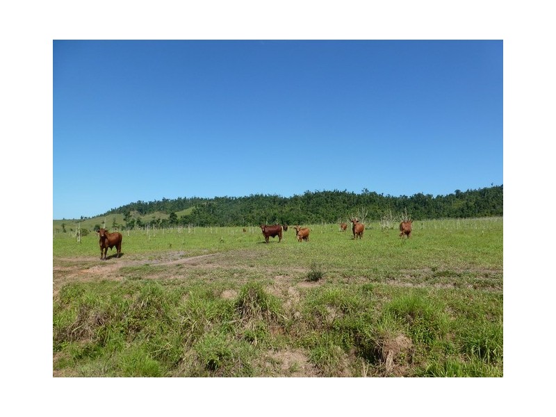 Mena Creek QLD 4871