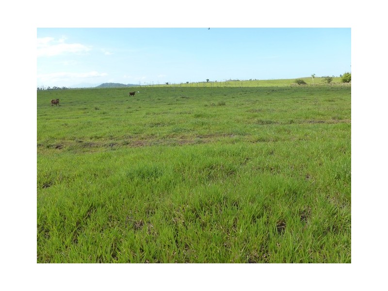 Mena Creek QLD 4871