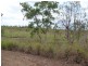 Ingham QLD 4850