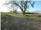 Ingham QLD 4850
