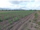 Ingham QLD 4850