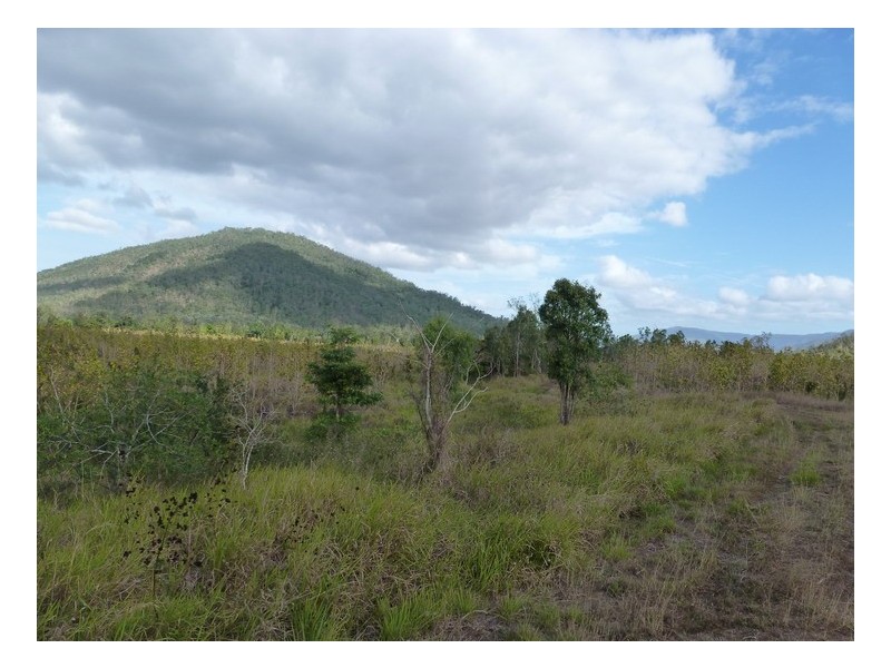 Ingham QLD 4850