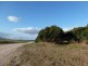 Ingham QLD 4850