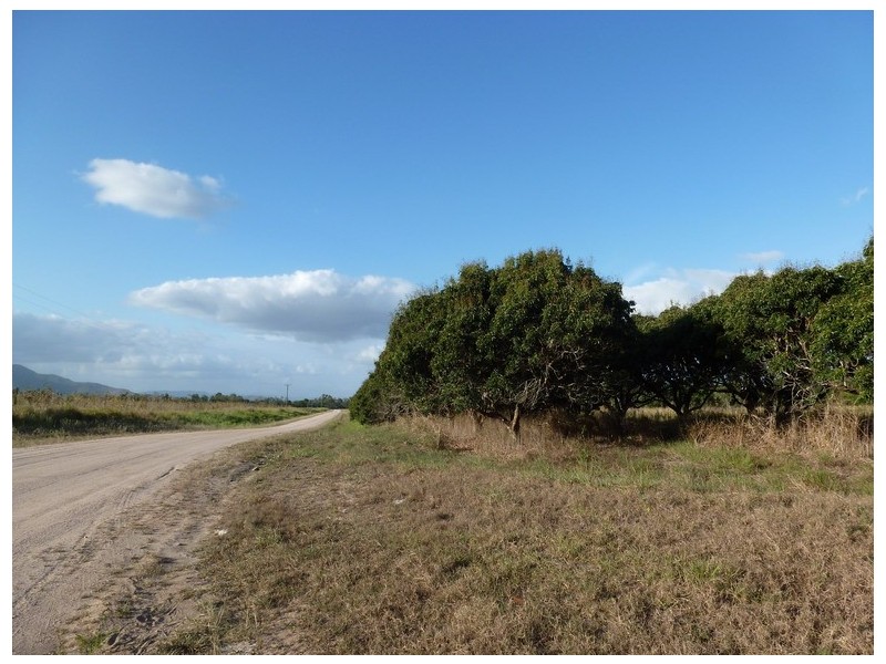 Ingham QLD 4850
