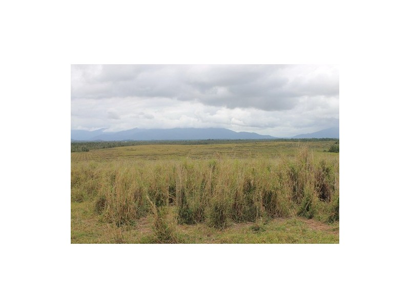 Tully QLD 4854