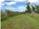 El Arish QLD 4855