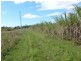 El Arish QLD 4855