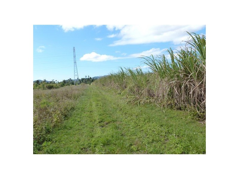 El Arish QLD 4855