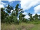El Arish QLD 4855