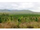 Ingham QLD 4850