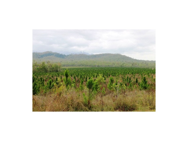 Ingham QLD 4850
