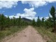 Ingham QLD 4850