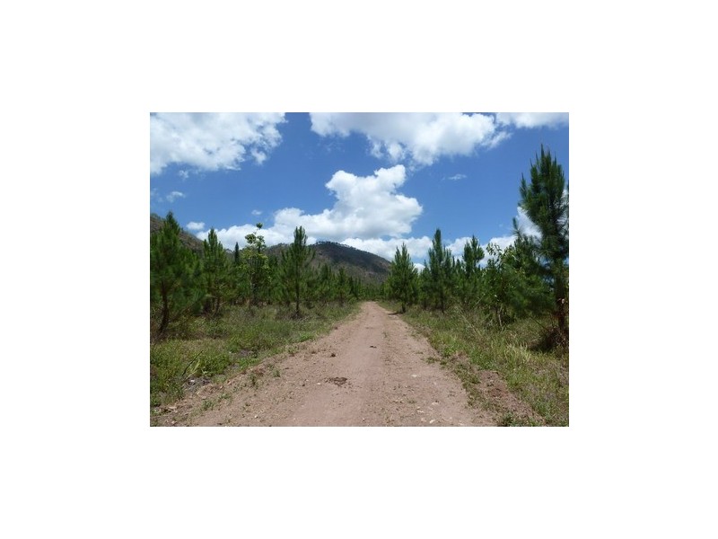 Ingham QLD 4850
