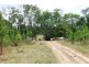 Ingham QLD 4850