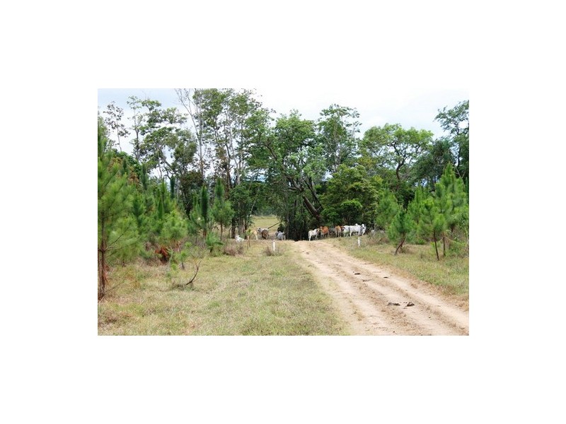 Ingham QLD 4850