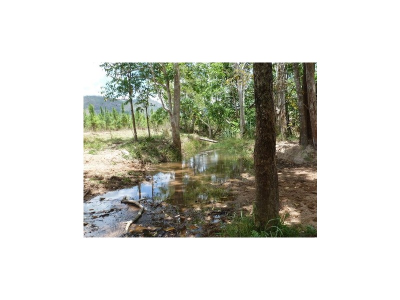 Ingham QLD 4850