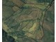 Ingham QLD 4850