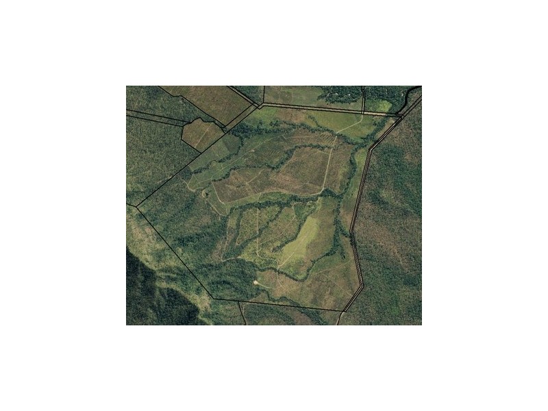 Ingham QLD 4850