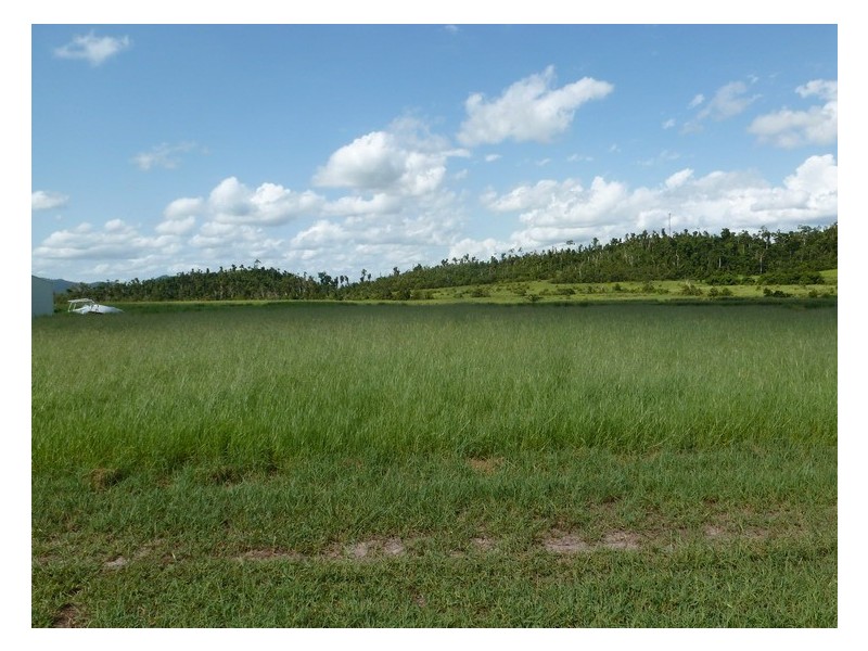 Kurrimine Beach QLD 4871