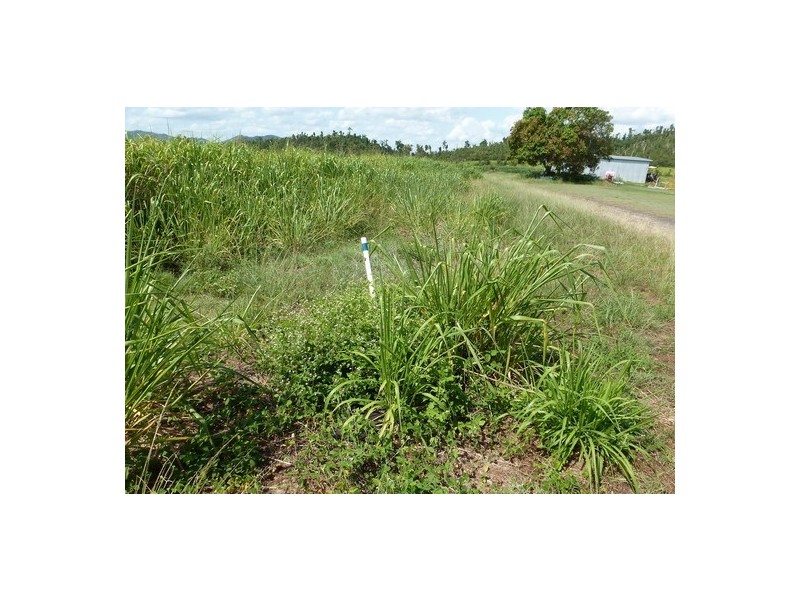 Kurrimine Beach QLD 4871