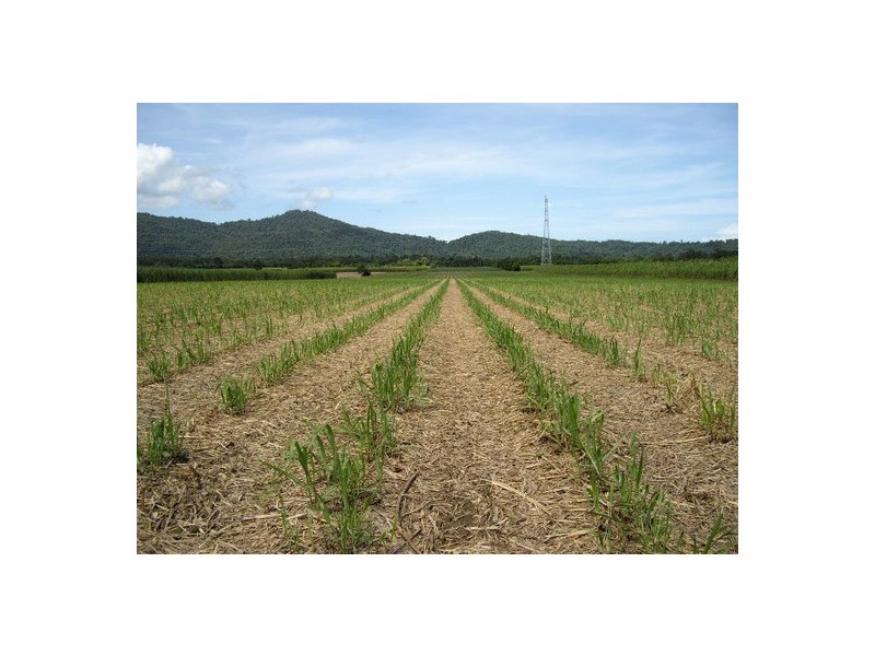 Deeral QLD 4871