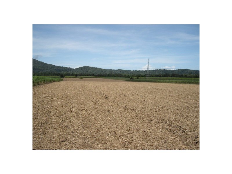 Deeral QLD 4871