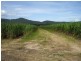 Deeral QLD 4871