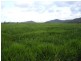 Cowley QLD 4871