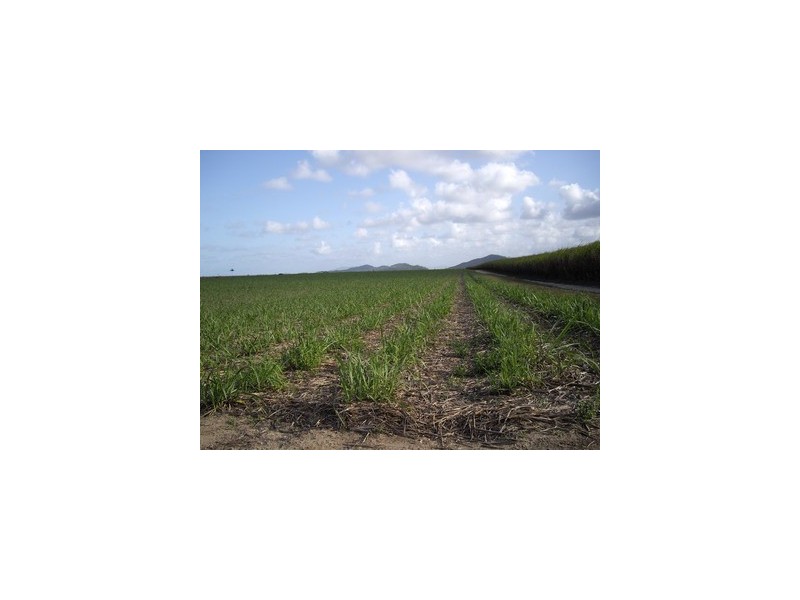 Cowley QLD 4871