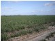 Cowley QLD 4871
