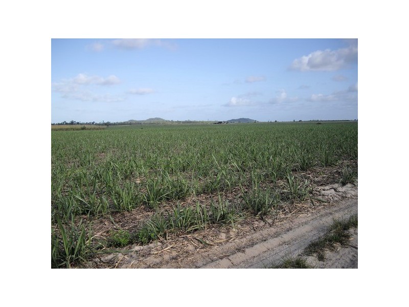 Cowley QLD 4871