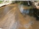 Ingham QLD 4850