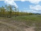 Ingham QLD 4850
