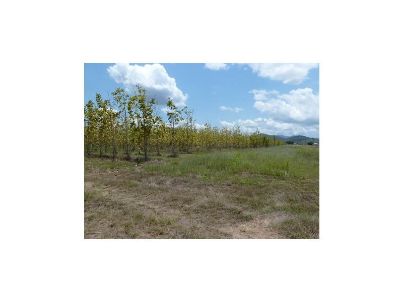 Ingham QLD 4850