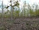 Ingham QLD 4850