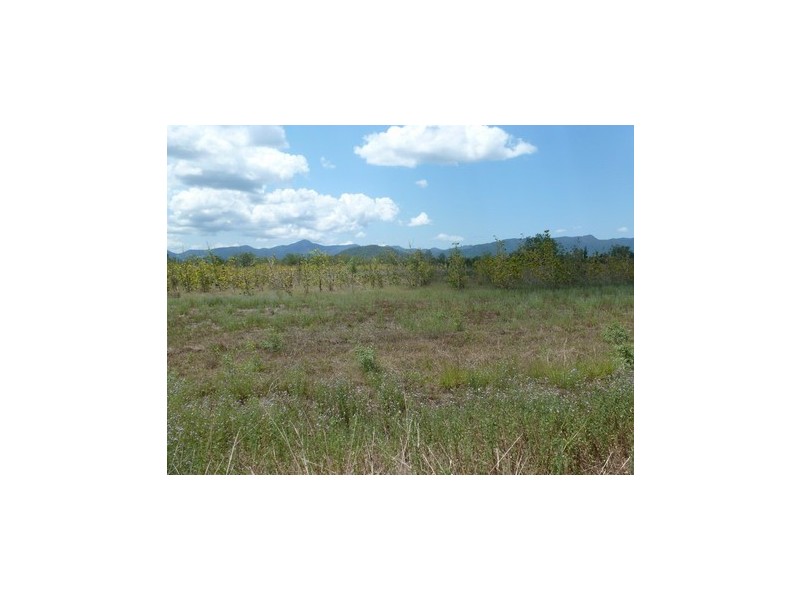 Ingham QLD 4850
