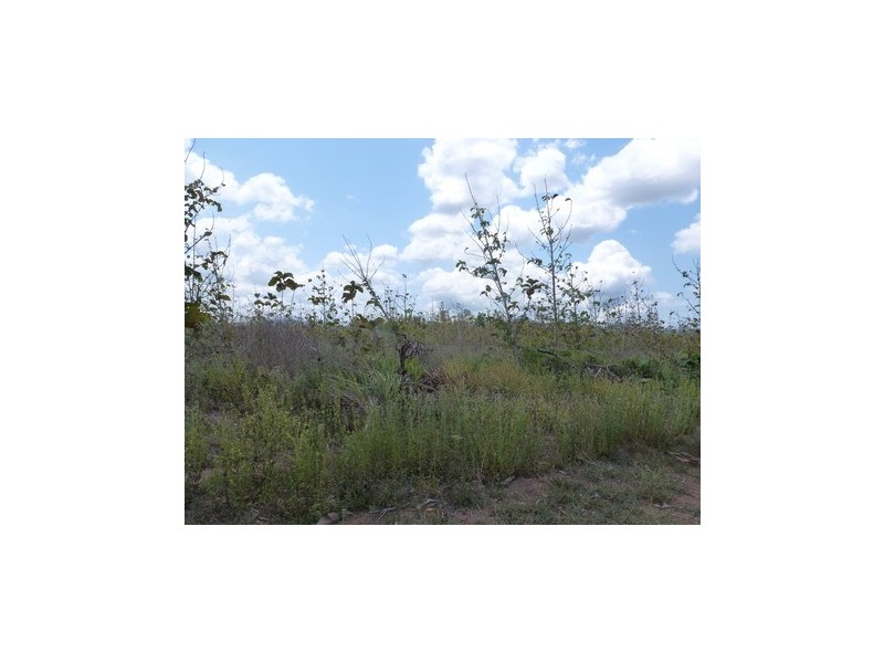 Ingham QLD 4850