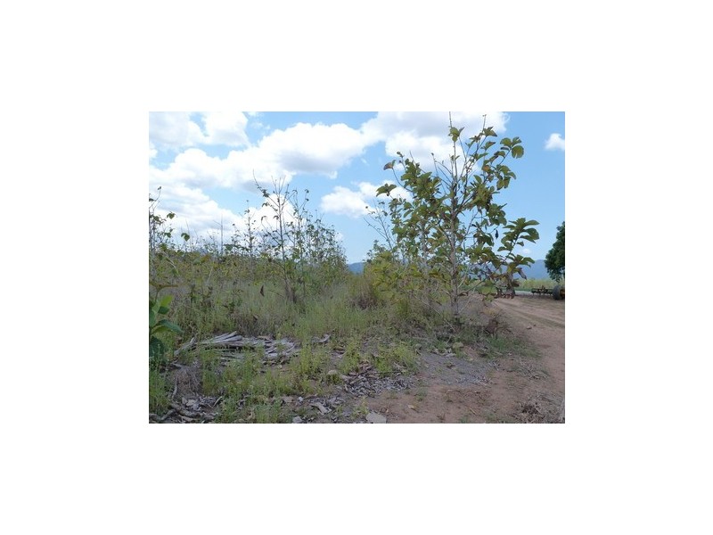 Ingham QLD 4850