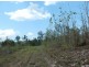 Ingham QLD 4850