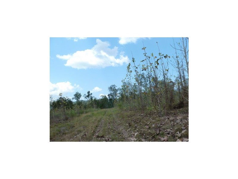 Ingham QLD 4850