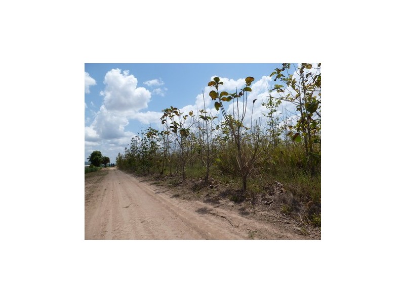 Ingham QLD 4850