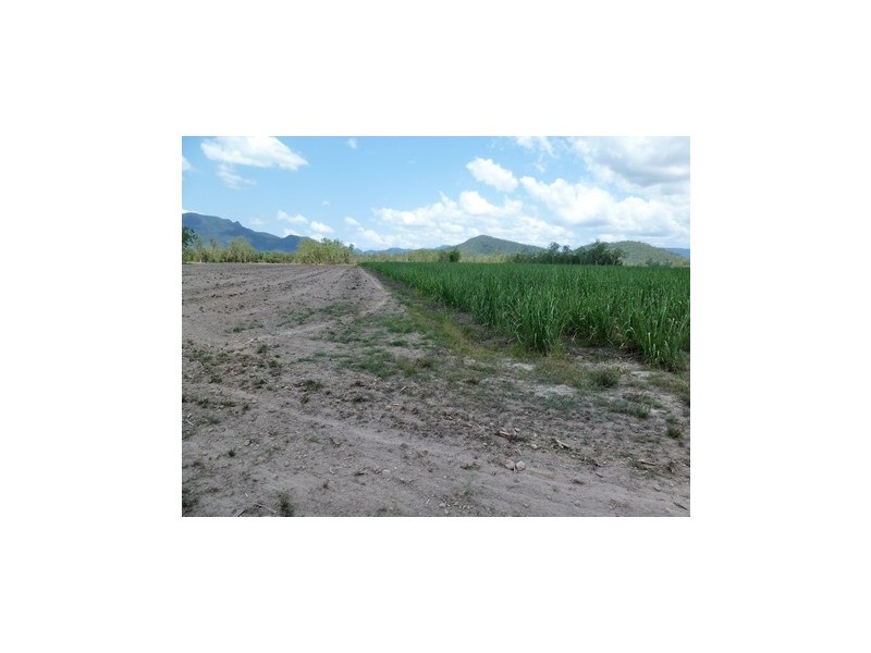 Ingham QLD 4850