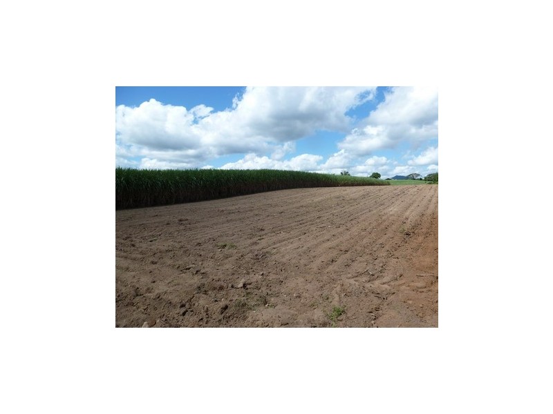 Bartle Frere QLD 4861